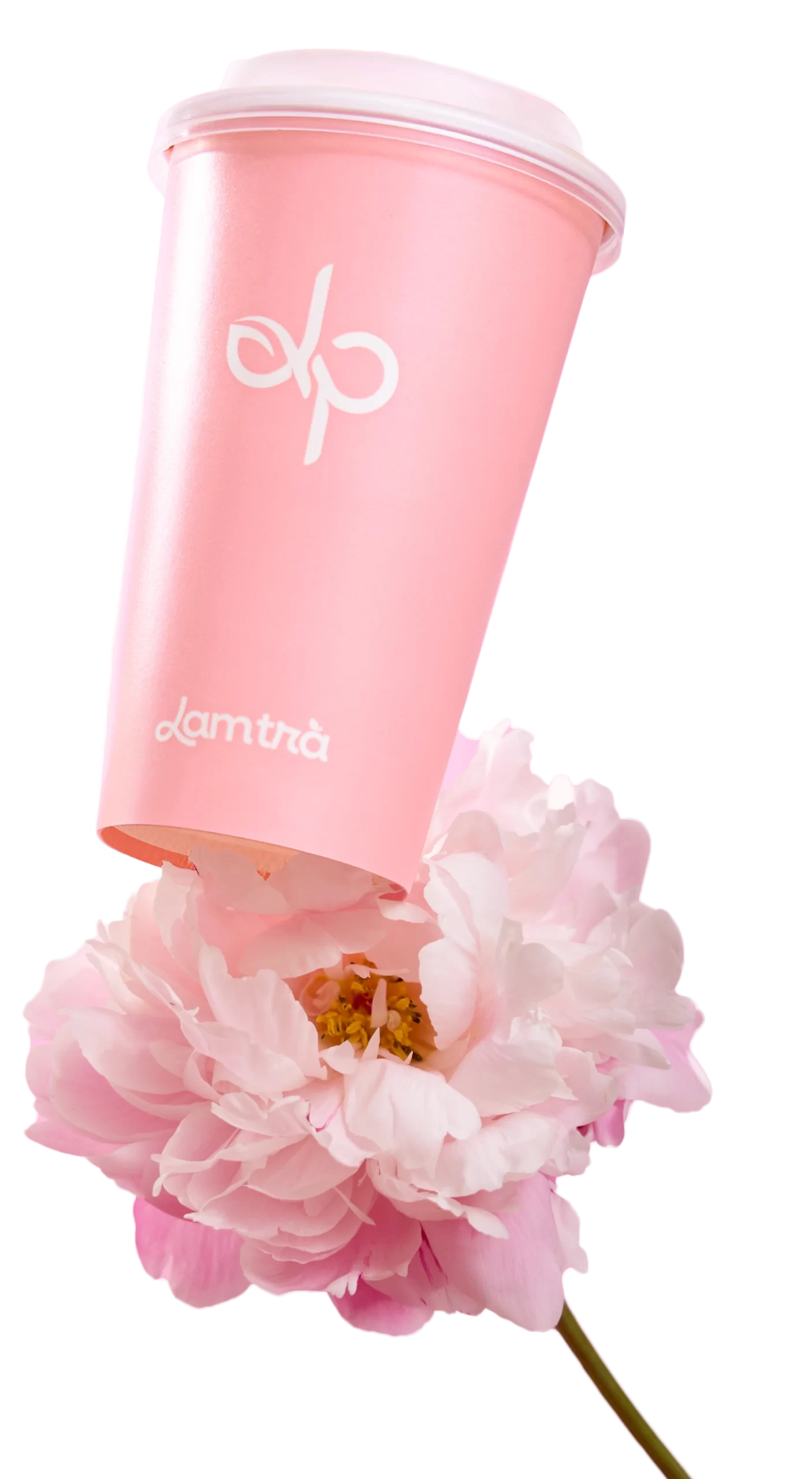 Câu Chuyện Nhà Lam